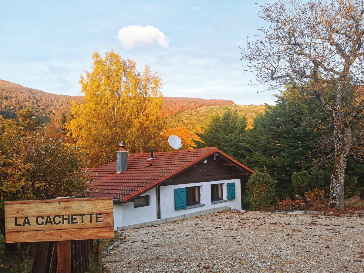 La Cachette Du Ballon - Cote-Montagnes Altenbach 外观 照片